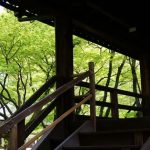 真如堂の紅葉の新緑がオススメ！京都の春の撮影スポットを紹介