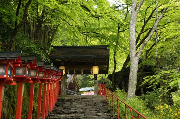 京都の新緑おすすめスポット貴船神社にいってみた！