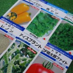 ネット通販で野菜の種探し！ベランダで野菜の水耕栽培２０１４春