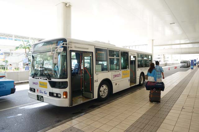 travel-okinawa-perch2786