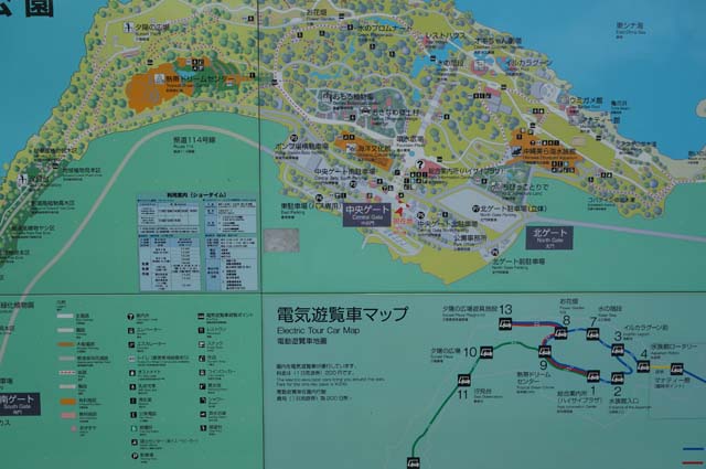 travel-okinawa-suizokukan3545