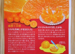 『紅まどんな』を食べてみた！みかんとは別次元の味や食べ方をご紹介！ | まあくんのなんでも体験記。