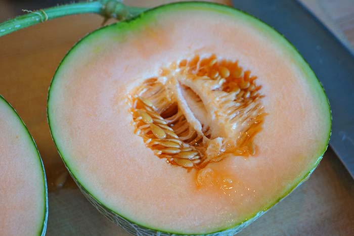 wc2016sp-melon-taste33