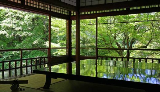 机に映る青モミジの絶景！京都の新緑撮影なら瑠璃光院が一番おすすめ！
