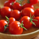 水耕栽培キットでトマトが大豊作！MASUCO（マスコ）の収穫量と費用対効果