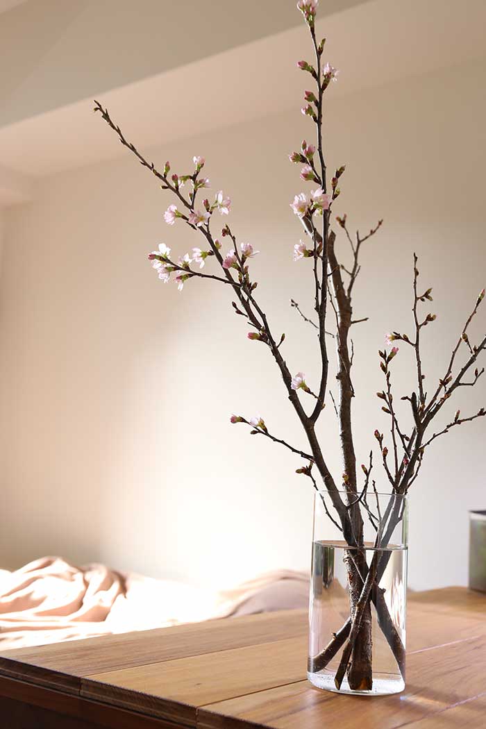 桜でハイセンスな和テイストの部屋が実現