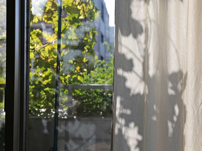 カーテンに映るブドウの葉の影
