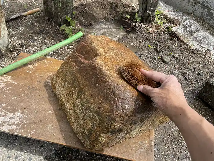 落ちていた石を洗う