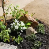 玄関前を植栽でおしゃれに演出してみた！1㎡でも豊かな庭づくりができたよ