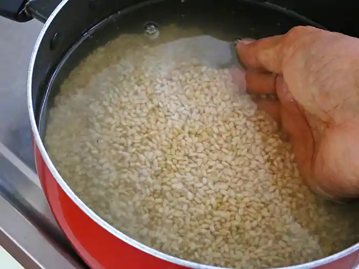 とぎ汁が出にくいもち米玄米
