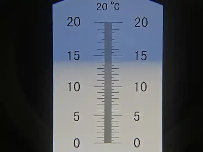 糖度14度の秋冬メロン