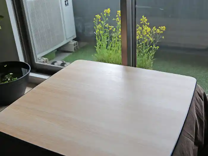 窓際で夏野菜の育苗