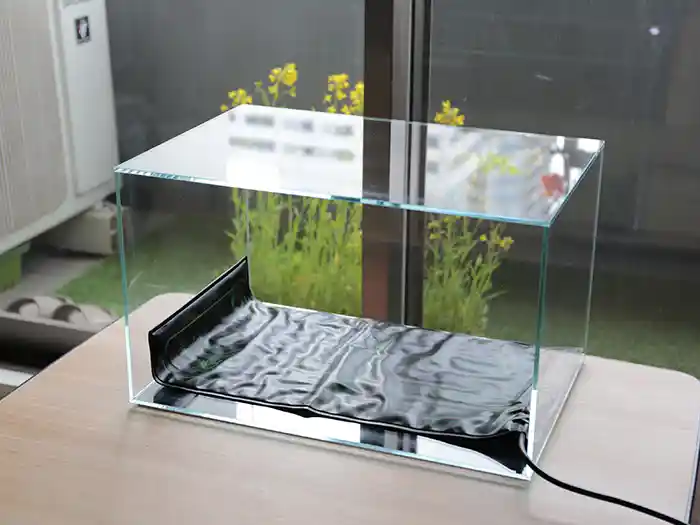 育苗用の水槽に加温マットを設置