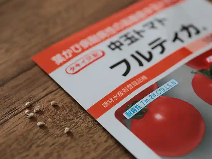 トマトの種