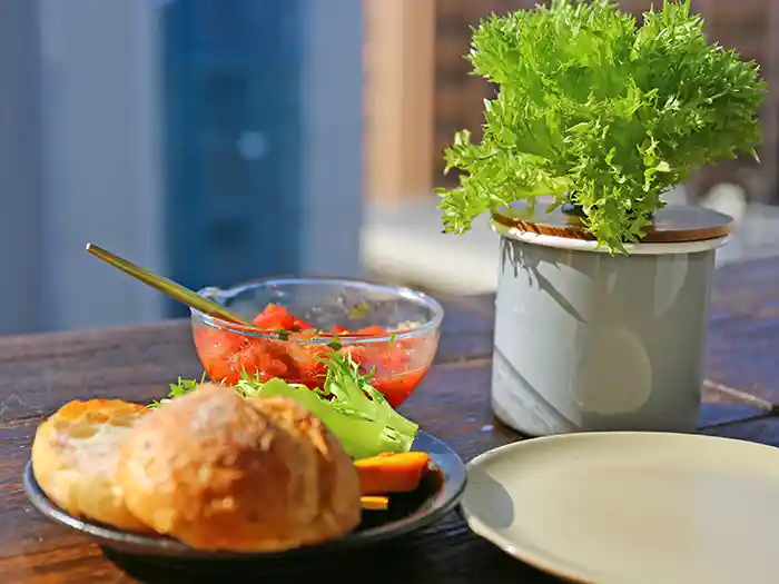 ベランダ菜園でリーフレタスの朝食づくり