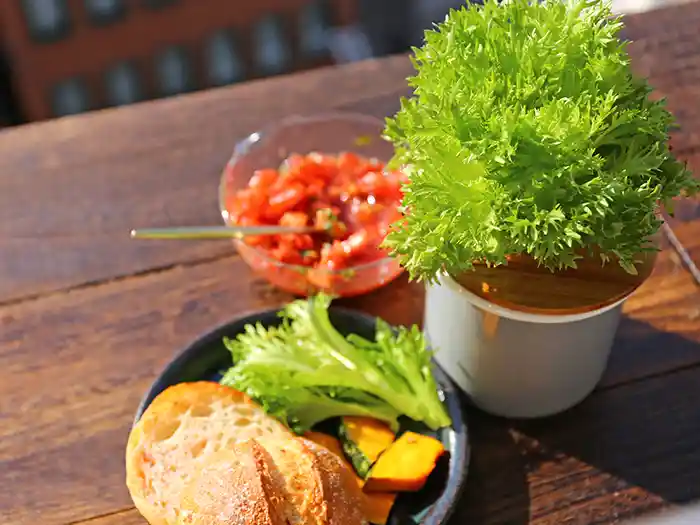 ベランダ菜園で収穫したリーフレタスで朝食づくり