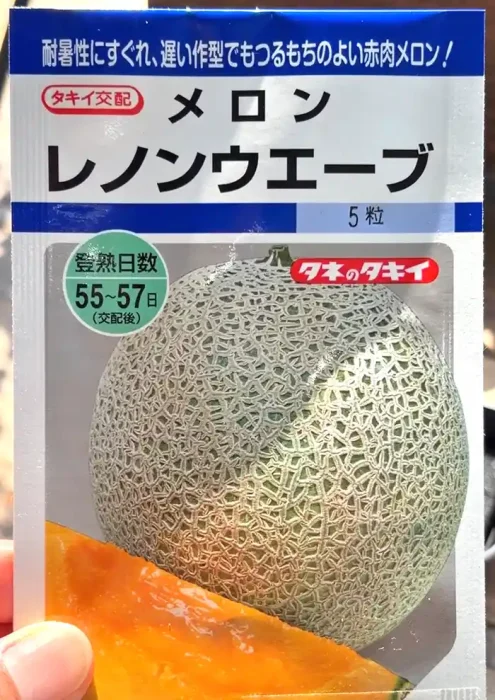 暑さに強くて糖度が高いレノンウェーブ